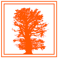 ivanack oak Germany